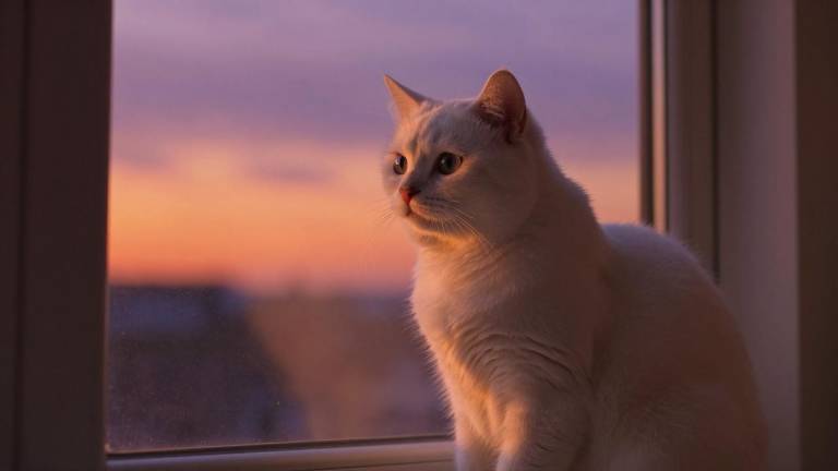 扎紧制度篱笆 不让权力任性——山西清徐县违规使用资金问题整改回访 扎紧制度篱笆 不让权力任性——山西清徐县违规使用资金问题整改回访第一张图