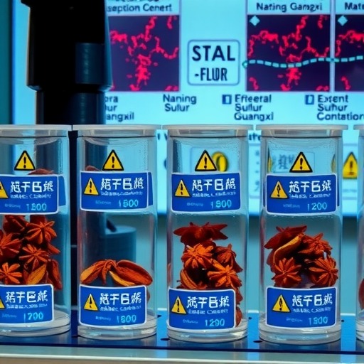 南宁调查处置“超硫八角”问题 广西全区紧急排查整治