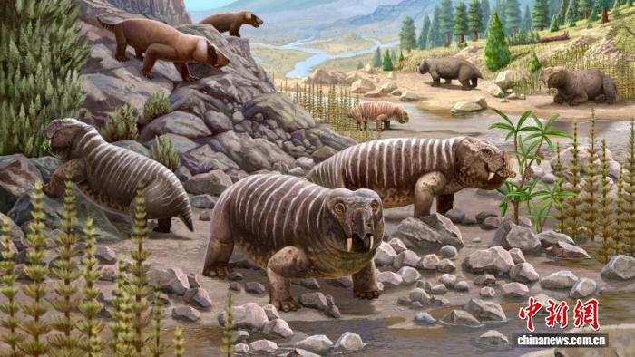 中国发现两亿多年前二齿兽新种化