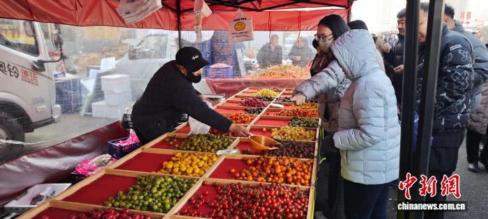 百年大集再上新 天津宁河升级“赶集+”新平台