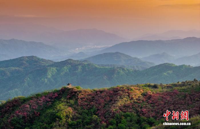 安徽森林蓄积量增至2.7亿立方米