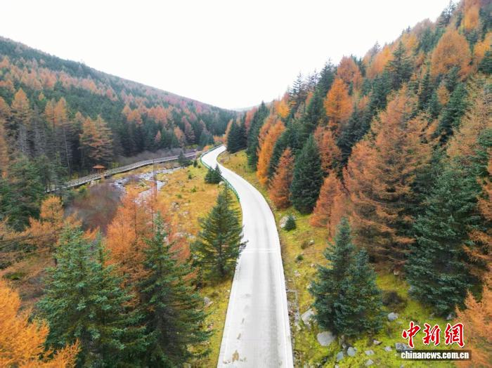 山西五寨：文化赋能打通多元融合发展“快车道”