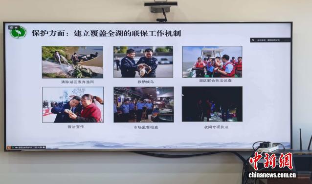 我国13处保护区织就东方白鹳迁飞守护网