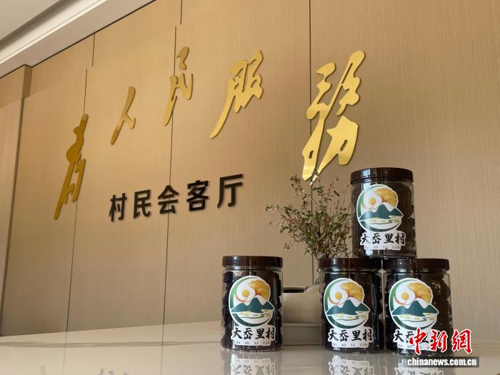 （乡村行·看振兴）浙江路桥：乡村品牌勾勒百姓幸福图景