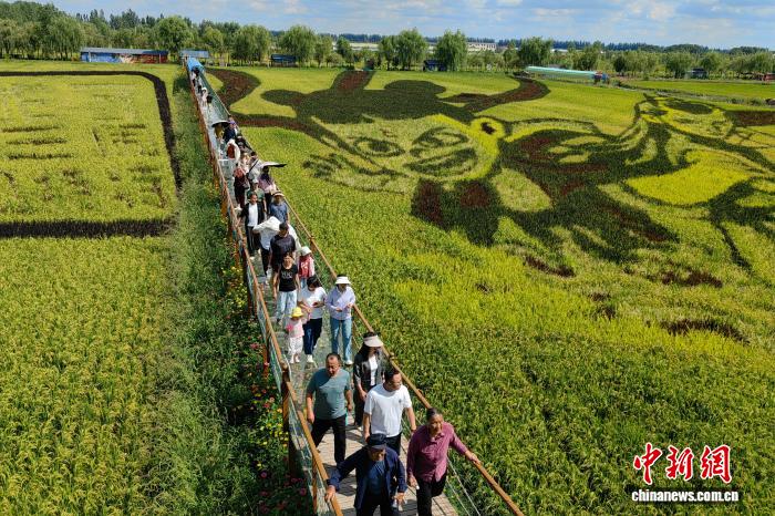 抗旱保粮创佳绩 宁夏实现粮食“二十二连丰”