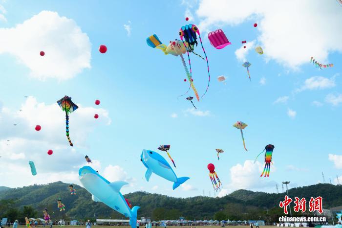 广东省第十一届风筝锦标赛举行