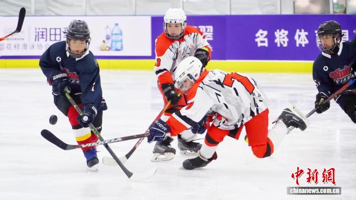 黑龙江省依托五百个公益冰场 推动冰雪运动进校园