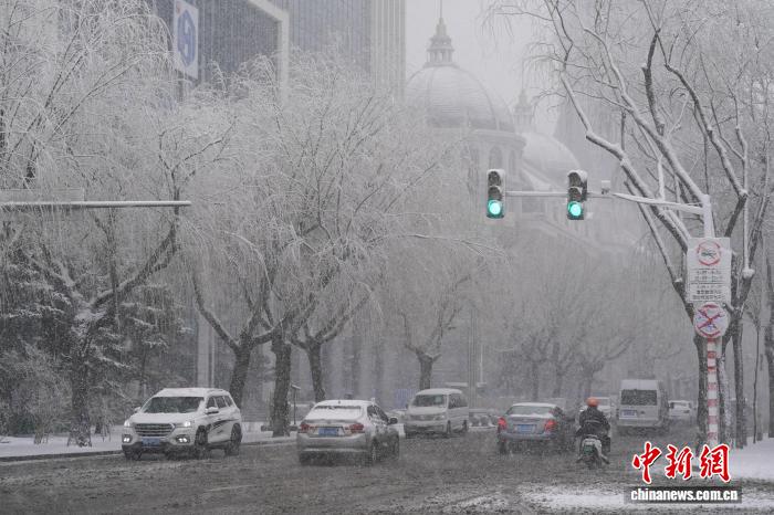 黑龙江7个城市迎大雪 部分路段能见度低