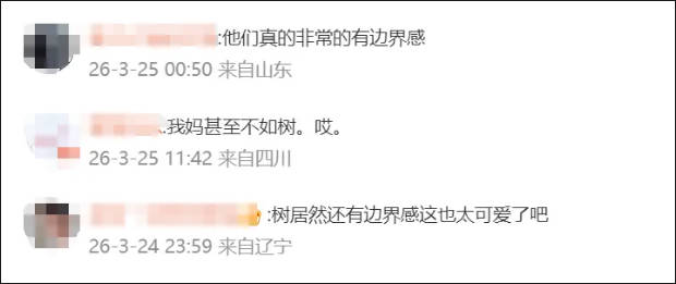 为何树之间也会遵守“社交距离”？它们又是如何做到的？