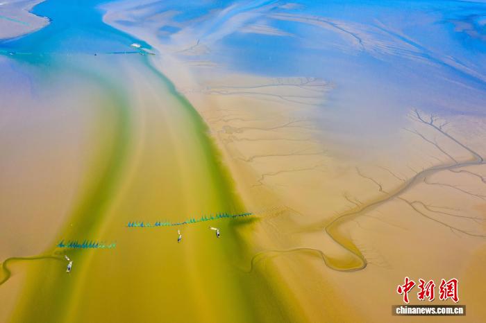 江苏盐城：向海图强、向绿而兴、向新转型