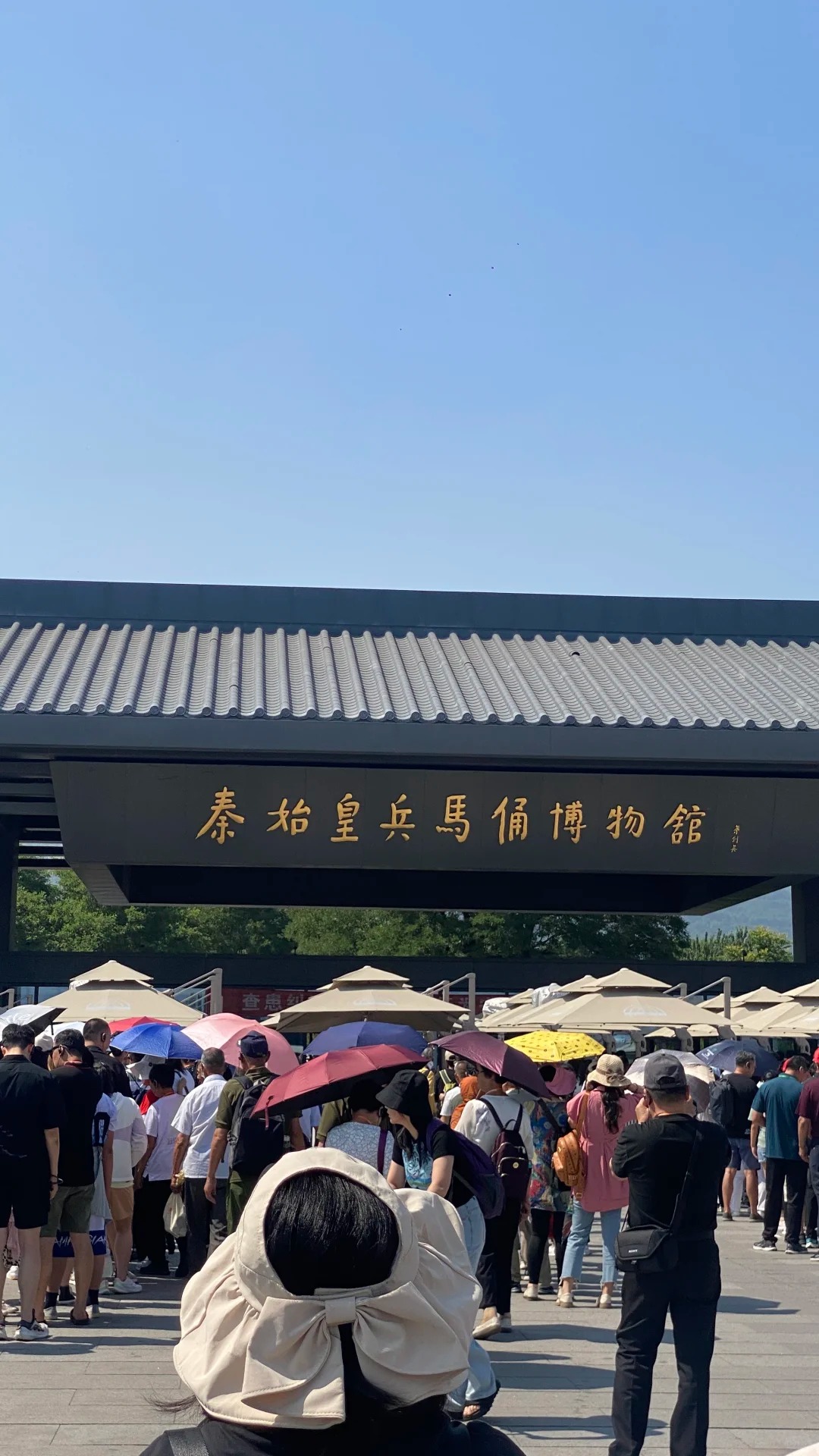 台湾小伙看兵马俑血脉觉醒，网友：这就是我们中国