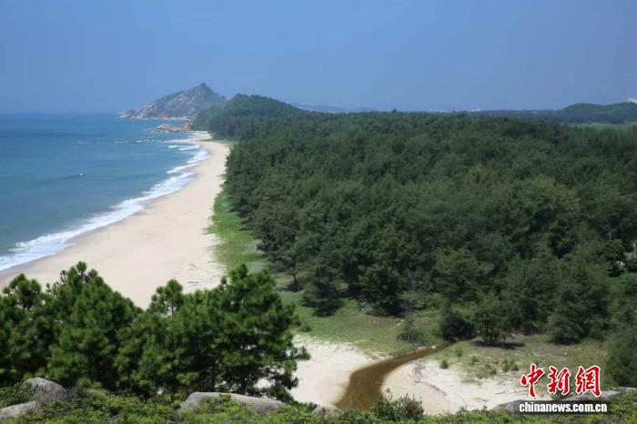 广东治沙治石：绿进沙退 岩溶山