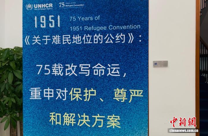 联合国难民署举办研讨会纪念《关
