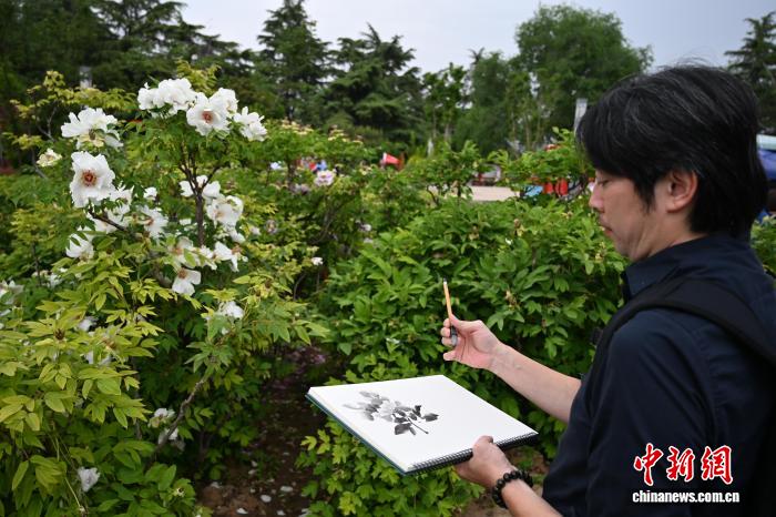 翰墨因缘聚花海 两岸书画家走进