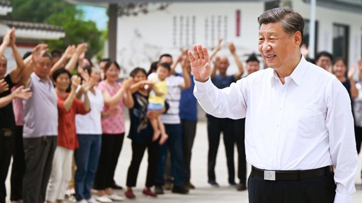 时政微视频丨拳拳赤子心