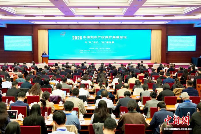 2026中国知识产权保护高层论