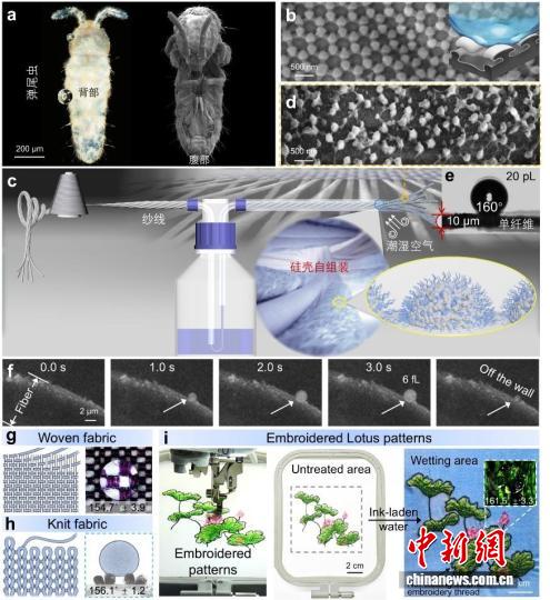 不怕洗、不怕磨、又透气！中国团队研发新技术成功制备防水织物