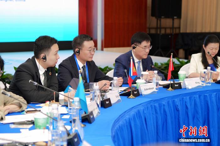 上合组织国家专家学者等汇聚申城