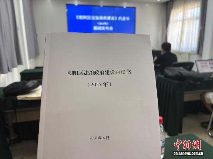 北京朝阳落地119项“高效办成