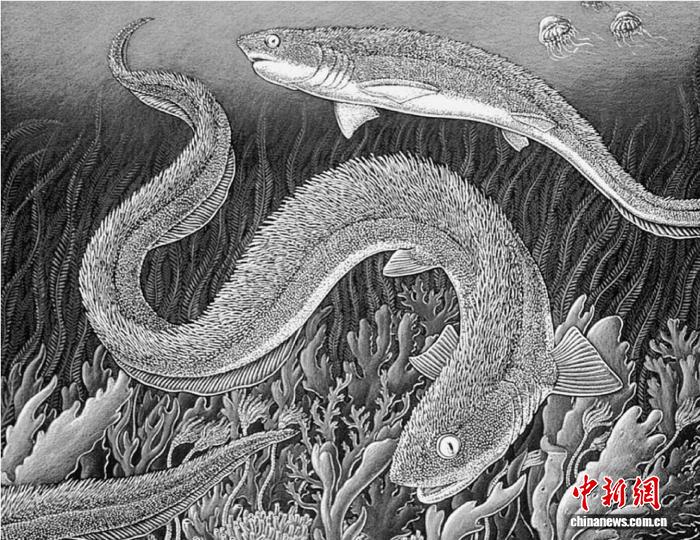 中国首次发现2.56亿年前二叠