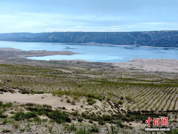 （走进中国乡村）黄河上游沙洲变