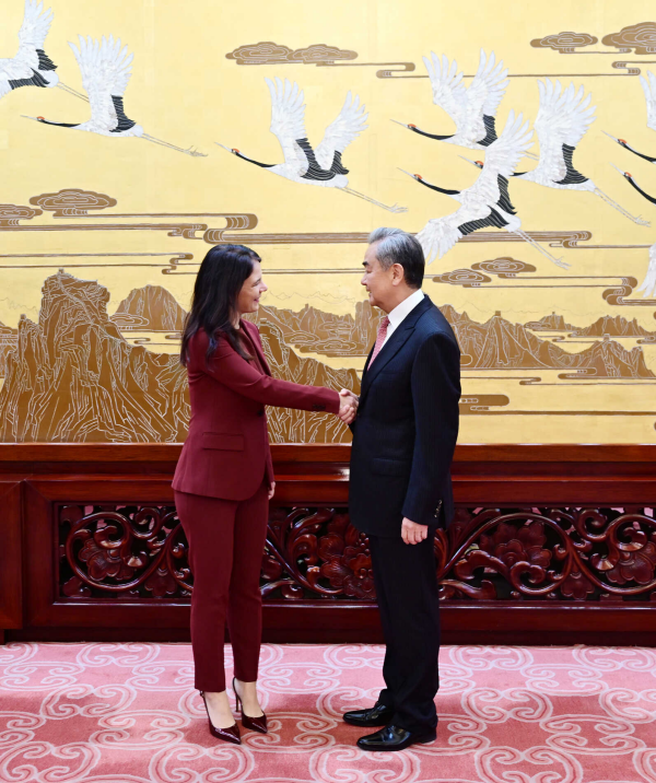 王毅会见第80届联合国大会主席