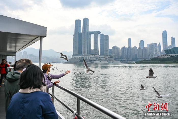重庆市政协开展界别协商 完善横向生态补偿机制