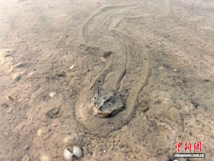 广西合浦儒艮国家级自然保护区中
