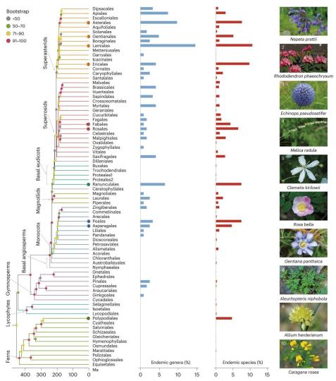 中国科研团队呼吁“上新”全球生物多样性热点