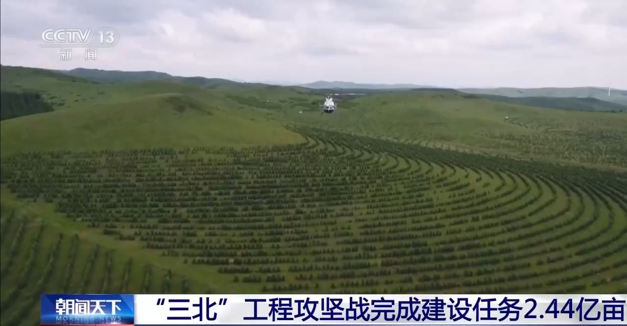 悬崖上植树有多难？揭秘“三北”