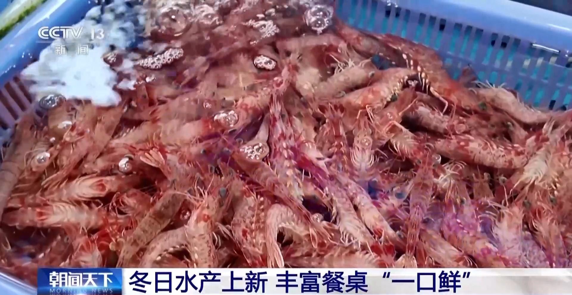 拍卖竞价、设施焕新……冬日水产品抢“鲜”上市