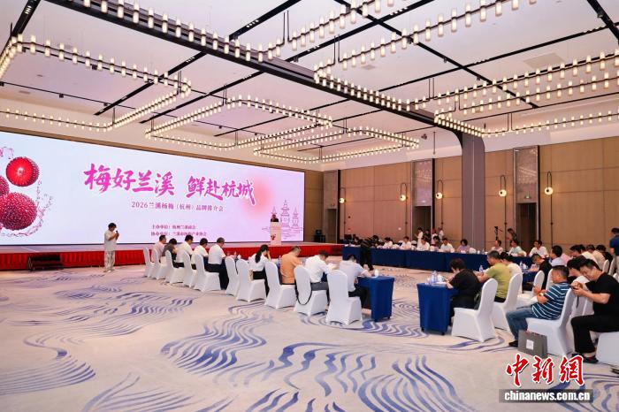浙江兰溪杨梅陆续上市 多方共话舌尖“梅”好