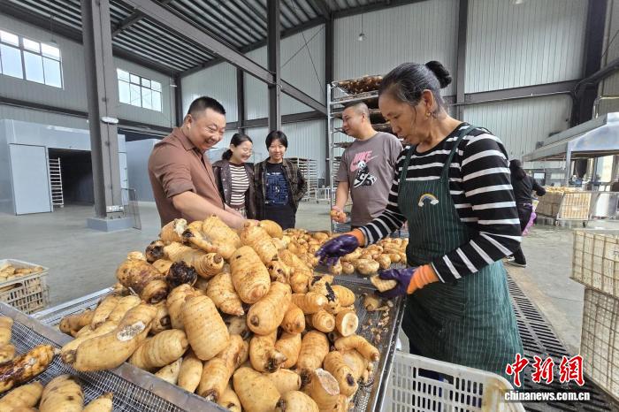 （乡村行·看振兴）湖北宜昌：特色农业扬帆远航