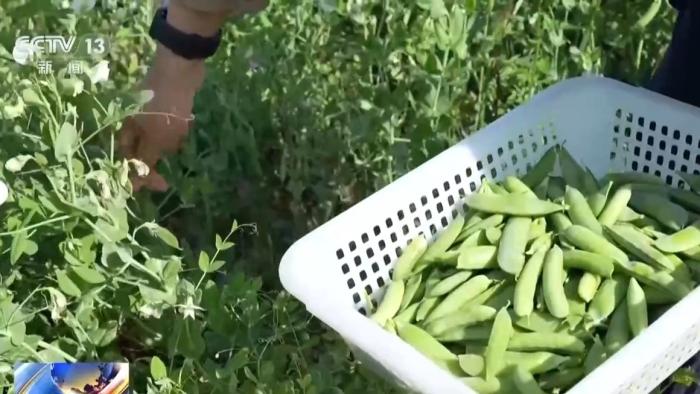 奋进“十五五” 实干开新局丨“