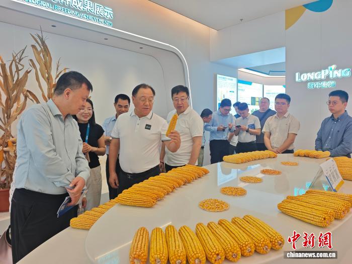 春潮激荡自贸港：琼港澳合作热度持续攀升