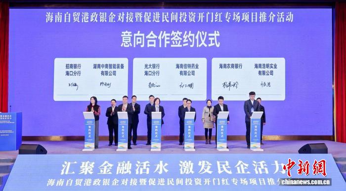 海南自贸港举办政银企对接活动 力促民间投资“开门红”