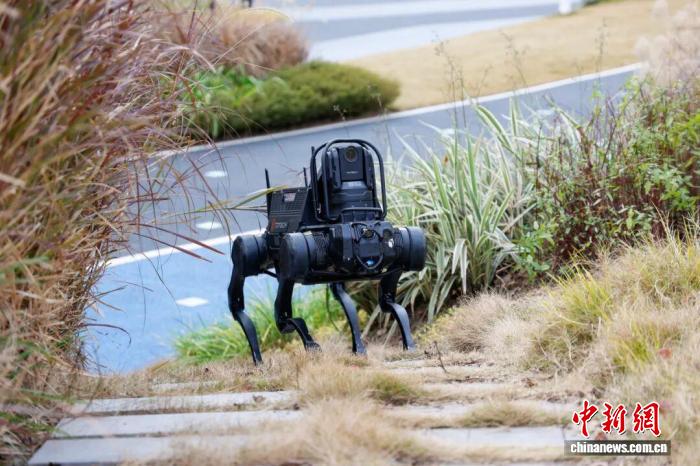 探访四川省人形机器人训练场  