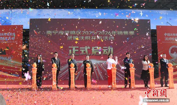 广西武鸣沃柑开市 国际“朋友圈”扩大