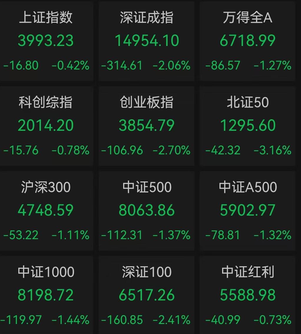 创指跌2.7%，沪指失守4000点！逾3800只个股飘绿，保