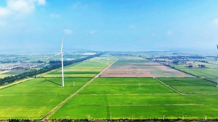 科技赋能，沃野生“金”——江苏睢宁基地书写黄淮粮仓“藏粮于技