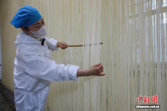 甘肃民勤：沙漠绿洲里构建从麦粒到面条产业链