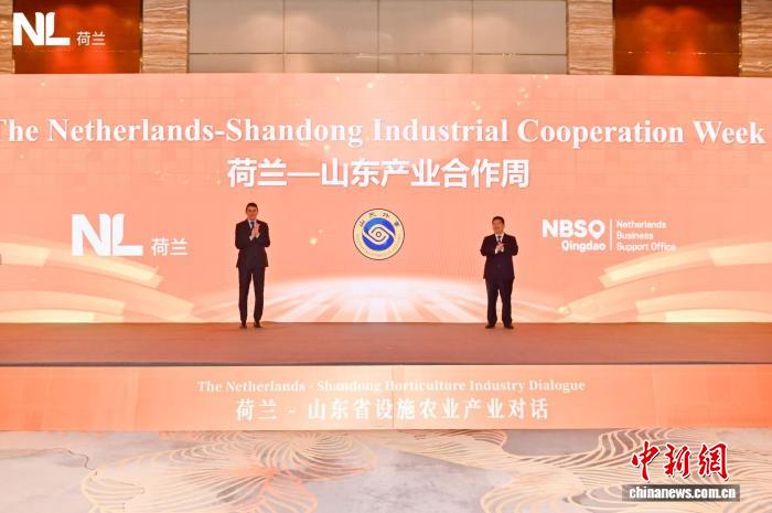 山东与荷兰经贸交流“升温” 双方客商谋“绿色”合作