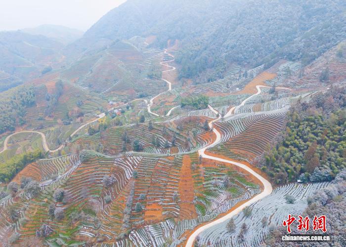 （乡村行·看振兴）浙江遂昌富农联运工程孕育山区“小幸福”与“