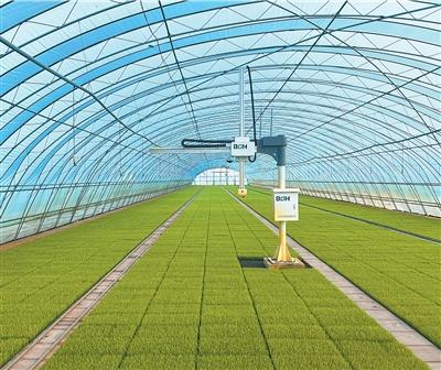 外国友人镜头里的中国乡村全面振兴——兴业富民 乡村和美