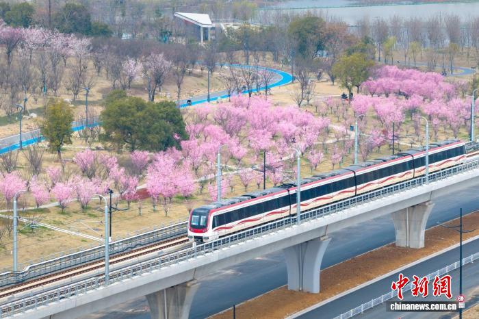 中国首条跨省共建共管市域铁路开通