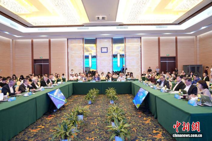 国际人士共议“世界政治经济格局变化下的海南自由贸易港”