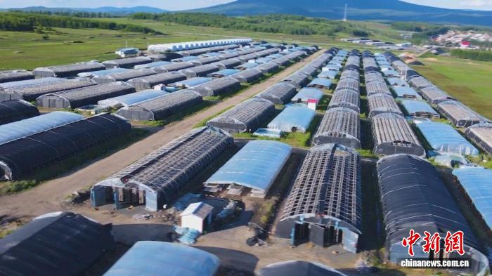 黑龙江省县级城市农民人均收入 东宁市连续20年居首