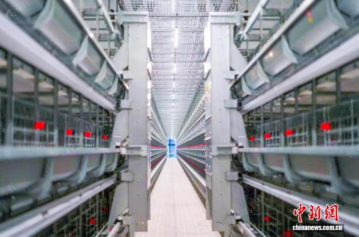 （乡村行·看振兴）浙江路桥废弃矿场“孵金蛋” 新技术“点亮”