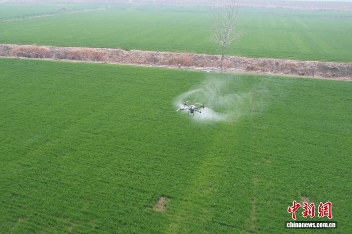 安徽定下2026年粮产硬指标：830亿斤以上