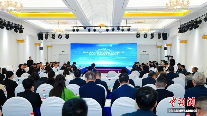 2026亚太数字经济论坛研讨会在京举办 多方共倡建设东北亚—